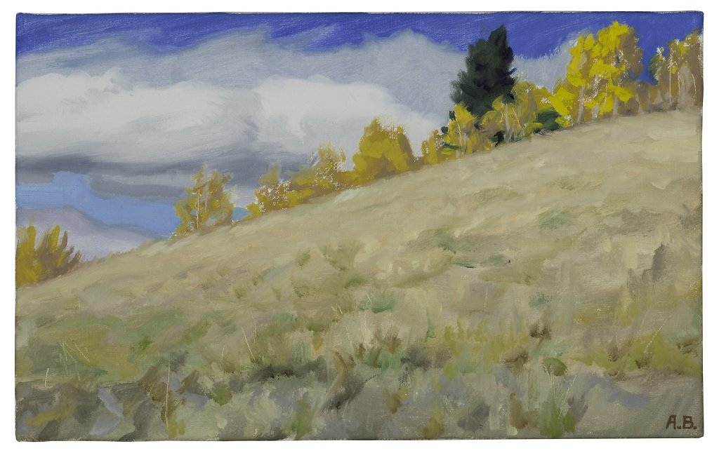 Colorado High Meadow in Autumn
